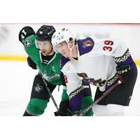 Texas Stars' Curtis McKenzie and Tucson Roadrunners' Cameron Hebig on game night