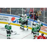 Texas Stars react after a goal against the Rockford IceHogs