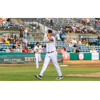 Charleston RiverDogs on game night