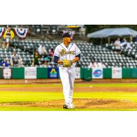 Charleston RiverDogs' Trevor Martin on game night