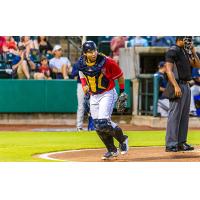 Charleston RiverDogs' Julio Meza