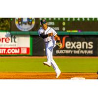 Charleston RiverDogs in action