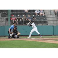 Tri-City Dust Devils shortstop Caleb Ketchup at bat
