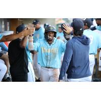 Charleston RiverDogs exchange high fives in the dugout