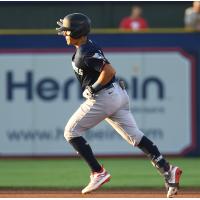 Somerset Patriots' Anthony Seigler in action
