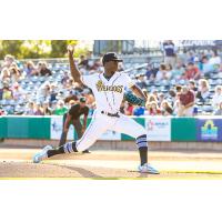 Charleston RiverDogs' Gary Gill Hill on the mound