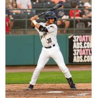 Tri-City Dust Devils' Cam Williams at bat