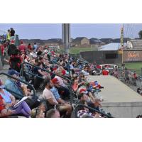 The crowd at Gesa Stadium to watch the Tri-City Dust Devils