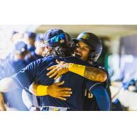 Charleston RiverDogs celebrate win