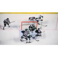 Utah Grizzlies battle the Idaho Steelheads