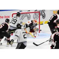 Rapid City Rush battle the Idaho Steelheads