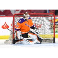 Reading Royals goaltender Parker Gahagen