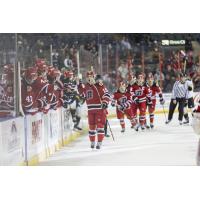 Rapid City Rush's T.J. Fergus congratulated by team