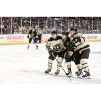 Utah Grizzlies defenseman Kyle Mayhew (left) and Brett Stapley (far right) vs. the Newfoundland Growlers