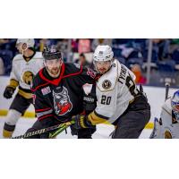 Adirondack Thunder's Travis Broughman battles Newfoundland Growlers' Jonny Tychonick