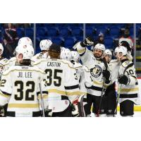 Wheeling Nailers exchange congratulations after an overtime victory