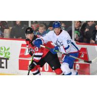 Adirondack Thunder's Grant Jozefek and Trois-Rivieres Lions' Jakov Novak in action