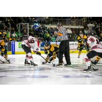 Rapid City Rush face off with the Maine Mariners
