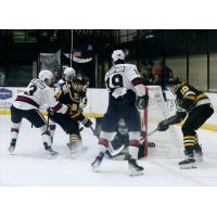 Wheeling Nailers look for a goal against the Kalamazoo Wings