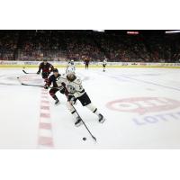 Wheeling Nailers' Peter Laviolette in action