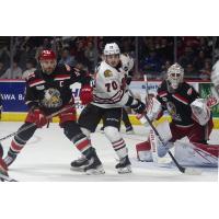 Grand Rapids Griffins' Josiah Didier and Sebastian Cossa and Rockford IceHogs' Cole Guttman in action