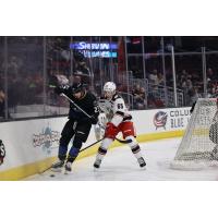 Grand Rapids Griffins right wing Dominik Shine (right) vs. the Cleveland Monsters