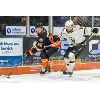 Fort Wayne Komets' Ethan Keppen and  Wheeling Nailers' Felix Pare in action