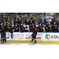 Grant Jozefek receives high fives along the Adirondack Thunder bench