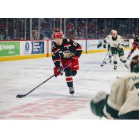 Grand Rapids Griffins' Dominik Shine on the ice