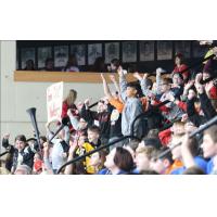 A sellout crowd cheers on the Wheeling Nailers