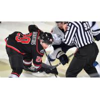 Adirondack Thunder's Andre Ghantous in action