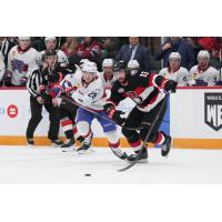 Ottawa Senators' Claude Giroux versus Belleville Senators' Egor Sokolov