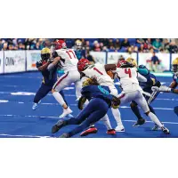 Jacksonville Sharks' Dimitrios Tsesmetzis, Tamorrion Terry, and Brion Murray in action