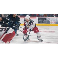 Grand Rapids Griffins left wing Zach Aston-Reese