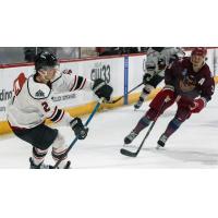 Adirondack Thunder's Brendan Less in action