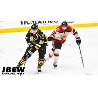 Indy Fuel battle the Wheeling Nailers