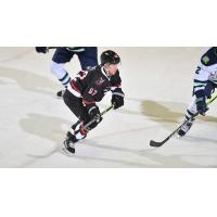 Adirondack Thunder's Connor Blake on the ice