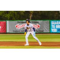 Charleston RiverDogs' Adrian Santana on game night