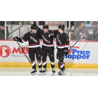 Adirondack Thunder gather following a goal