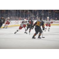 Grand Rapids Griffins chase the puck against the Chicago Wolves