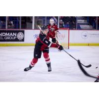 Vancouver Giants defenceman Colton Roberts