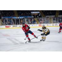 Springfield Thunderbirds defenseman Dylan Coghlan (left)