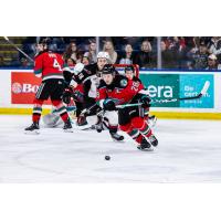 Former Kelowna Rockets forward Andrew Cristall