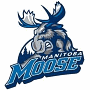 Manitoba Moose