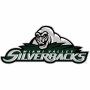 Miami Valley Silverbacks