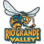 Rio Grande Valley Killer Bees