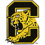 Cook County Cheetahs (FL)