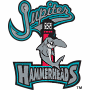 jupiter hammerheads baseball