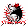 Maui Stringrays