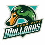 IHL Quad City Mallards